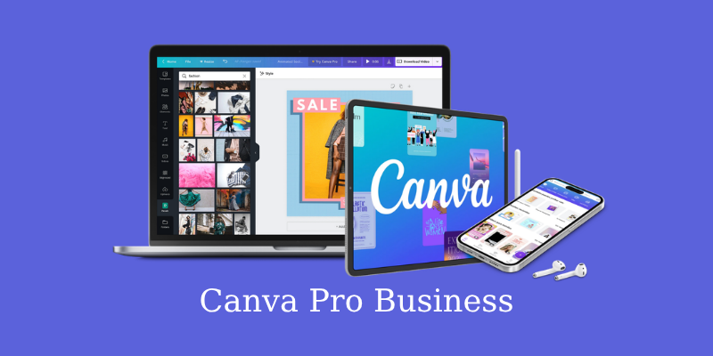 Canva Business - 1 aylık